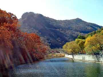 新澳天天开奖资料大全旅游团，挖掘机转盘轴承